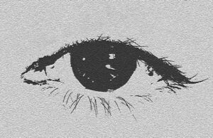 the human eye