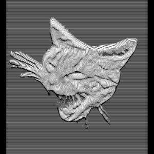 sawyber